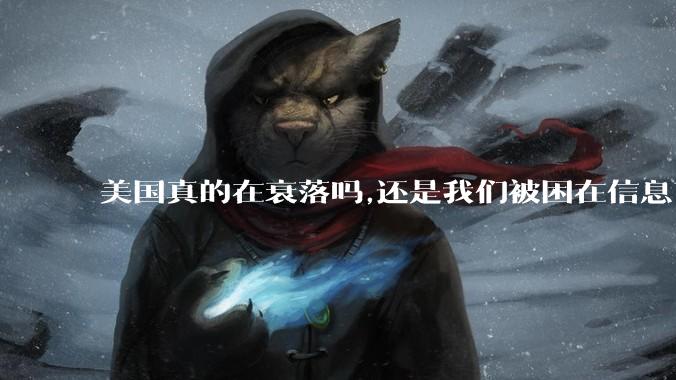美国真的在衰落吗,还是我们被困在信息茧房?