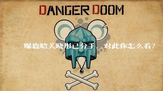 曝鹿晗关晓彤已分手，对此你怎么看？