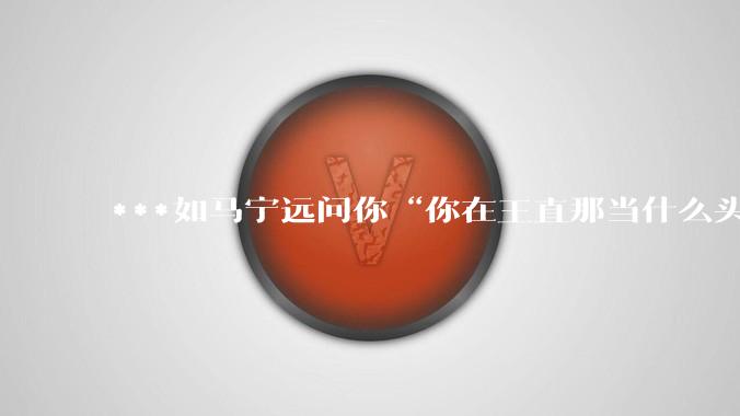 ***如马宁远问你“你在王直那当什么头目”，如何回答才能不被拿下？