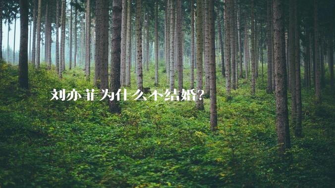 刘亦菲为什么不结婚？